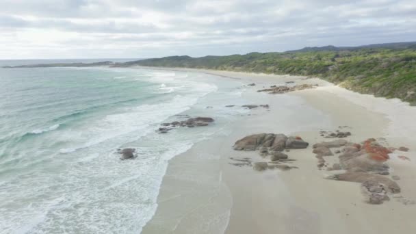 Беспилотник Запечатлел Волны Приходящие Белый Песчаный Пляж Острове Кинг Тасмании — стоковое видео
