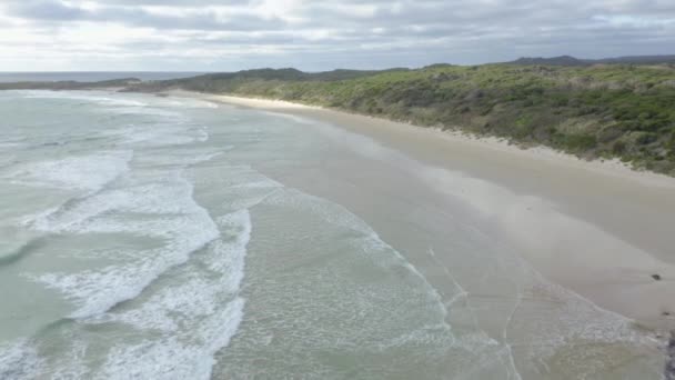 Кадри Хвиль Являються Піщаному Пляжі Острові Кінг Тасманія Австралія — стокове відео