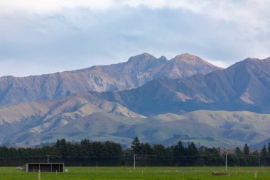 Yeni Zelanda 'nın güney adasında alçak seviyeli gri bulutların bulunduğu büyük yeşil bir tarla boyunca uzanan bir sıradağların fotoğrafı.