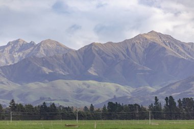 Yeni Zelanda 'nın güney adasında alçak seviyeli gri bulutların bulunduğu büyük yeşil bir tarla boyunca uzanan bir sıradağların fotoğrafı.