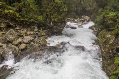 Yeni Zelanda 'nın Güney Adası' ndaki Fiordland Ulusal Parkı 'nda yemyeşil yapraklarla çevrili küçük bir vadide akan hızlı bir nehrin fotoğrafı.