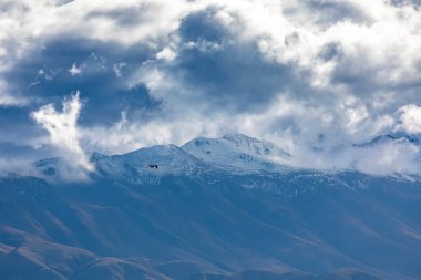 Yeni Zelanda 'nın Güney Adası' ndaki düşük seviyeli gri bulutlarla kaplı bir sıradağların fotoğrafı.