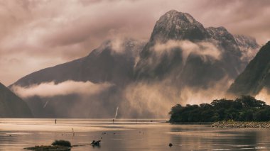 Fotoğraf, Yeni Zelanda 'nın güney adasındaki Fiordland Ulusal Parkı' ndaki tekne limanından bulutlu ve yağmurlu bir günde Milford Sound 'a bakıyor.