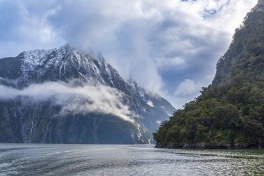 Yeni Zelanda 'nın Güney Adası' ndaki Fiordland Ulusal Parkı 'ndaki Milford Sound' da bulutların ve sisin içindeki dağların fotoğrafı.