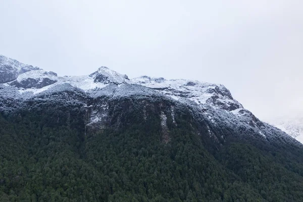 Photograph Cloud Covered Snow Capped Mountains Lush Foliage Fiordland National — Stock Photo, Image