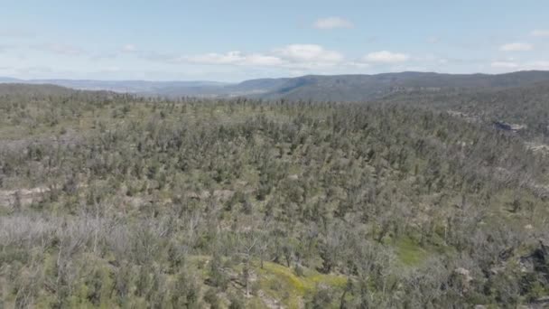 Letecký Záznam Regenerace Obnovy Lesů Těžkých Požárech Modrých Horách Novém — Stock video