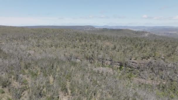 Imágenes Aéreas Drones Regeneración Recuperación Forestal Después Graves Incendios Forestales — Vídeos de Stock