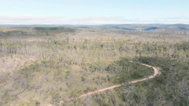Avustralya 'nın Yeni Güney Galler' indeki Mavi Dağlar 'da çıkan şiddetli orman yangınlarından oluşan büyük bir ormandaki sakız ağaçlarının insansız hava aracı görüntüleri.