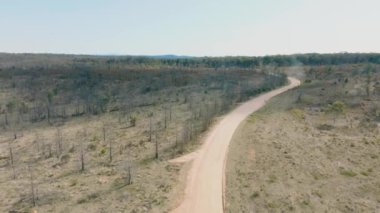 Avustralya 'nın Yeni Güney Galler' indeki Mavi Dağlar 'da çıkan şiddetli orman yangınlarından oluşan büyük bir ormandaki sakız ağaçlarının insansız hava aracı görüntüleri.