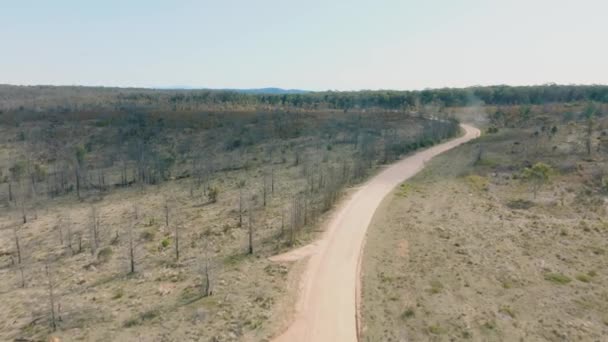 オーストラリアのニューサウスウェールズのブルーマウンテンズで深刻な茂みの火災から再生する大きな森でガムの木のドローン空中映像 — ストック動画