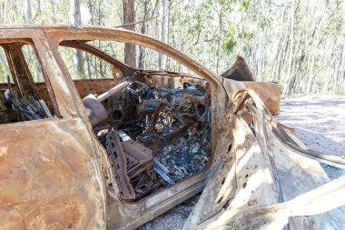 Büyük bir ormandaki toprak bir yolda terk edilmiş, sonra da ateşe verilmiş ve yok edilmiş küçük bir arabanın fotoğrafı.