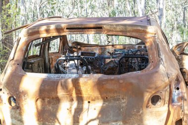Büyük bir ormandaki toprak bir yolda terk edilmiş, sonra da ateşe verilmiş ve yok edilmiş küçük bir arabanın fotoğrafı.