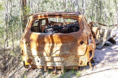 Büyük bir ormandaki toprak bir yolda terk edilmiş, sonra da ateşe verilmiş ve yok edilmiş küçük bir arabanın fotoğrafı.