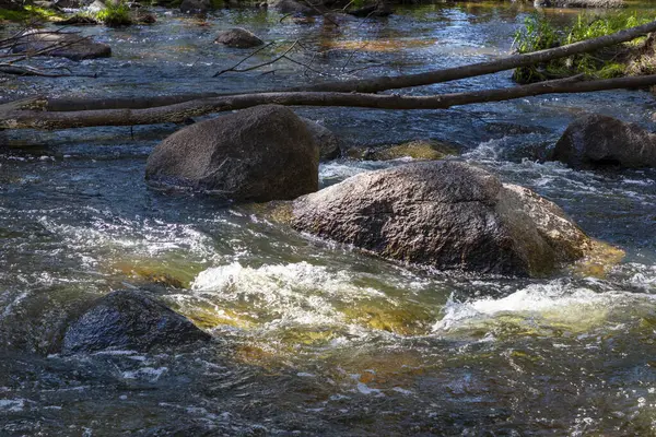 Coxs Nehri 'nin fotoğrafı Avustralya' nın Mavi Dağları 'ndaki yemyeşil bir ormandan akıyor.