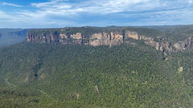 Avustralya 'nın Yeni Güney Galler bölgesindeki Mavi Dağlar' daki Grose Vadisi 'ndeki yemyeşil ağaçların ve uçurumların insansız hava aracı fotoğrafı.