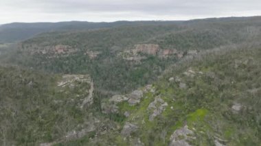 Avustralya 'nın Mavi Dağları' ndaki şiddetli orman yangınından kurtulan büyük bir okaliptüs ormanının insansız hava aracı görüntüleri.