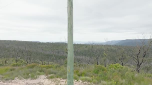 オーストラリアのニューサウスウェールズのブルーマウンテンズのブッシュファイアの影響を受けた森の木製の電話ポールの上部にドローン空中映像 — ストック動画