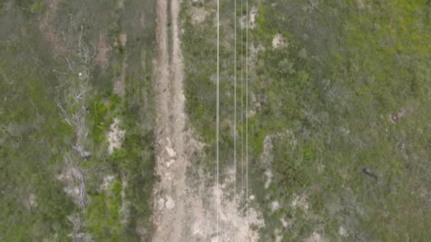 Zdjęcia Lotnicze Dronów Latające Wzdłuż Linii Telefonicznych Lesie Dotkniętym Pożarem — Wideo stockowe