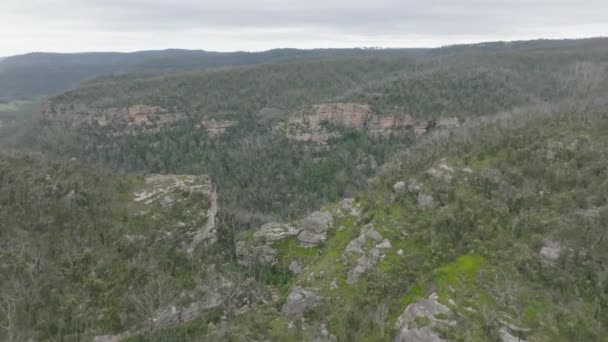 Imagens Aéreas Drones Uma Grande Floresta Eucaliptos Recuperando Graves Incêndios — Vídeo de Stock