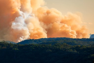 NSW, Avustralya 'daki Mavi Dağlar' daki Kırsal İtfaiye Teşkilatı tarafından kontrollü orman yangını azaltma görüntüsü.