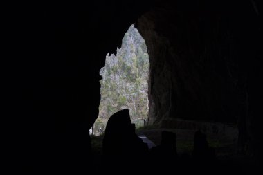 Avustralya 'daki Karlı Dağlar' daki Kusciuszko Ulusal Parkı 'nda Talbingo yakınlarındaki Yarrangobilly Mağaraları' nın girişine bakan yürüyüş pisti ve ormanın fotoğrafı.