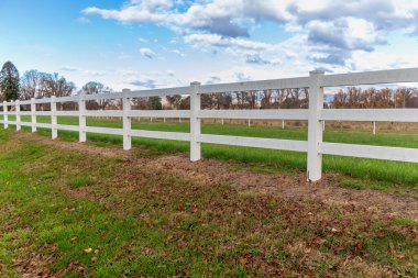 Avustralya 'daki Karlı Dağlar' daki Kosciuszko Ulusal Parkı 'ndaki Talbingo yakınlarındaki Yarrangobilly Mağaraları' nda dikitler, sarkıtlar ve diğer kireçtaşı kaya oluşumlarının fotoğrafları.