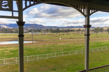 Eski tribünde çekilen fotoğraf Tumut 'taki at yarışı pistinin ortasında beslenen sığırlara bakıyor. Avustralya' nın New South Wales kentindeki Karlı Dağlar 'ın manzarasına yerleşmiş..