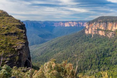 Avustralya, Yeni Güney Galler 'deki Mavi Dağlar' daki Blackheath yakınlarındaki Grose Vadisi 'nin doğal amfi tiyatrosu ve çalılıkların fotoğrafı..