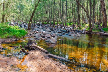 Photograph of the Coxs River in Ganbenang near the six foot track campground in the Blue Mountains in New South Wales, Australia. clipart