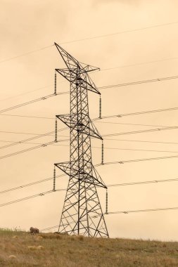 Avustralya 'nın turuncu gün batımında çimenli bir tepenin üzerindeki büyük bir elektrik iletim kulesinin fotoğrafı..