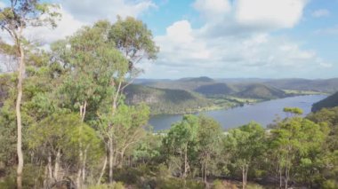 Hawkins Gözcülük 'ten Hawkesbury Nehri' nin arka planda Avustralya 'nın New South Wales kentindeki Wisemans Feribotu yakınlarında duyulabilen gürültülü ağustos böceği sesleri..