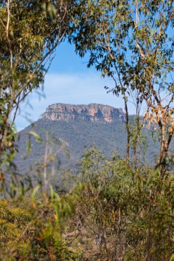 Avustralya, NSW 'nin merkez Tabloları' ndaki Capertee Vadisi 'ndeki büyük bir tepenin üzerindeki kayalıklara bakan büyük bir dairenin fotoğrafı..