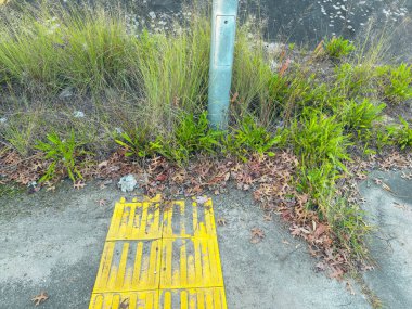 Çimenli otların ve ölü yaprakların bir dizi fotoğrafı beton yaya yolunun yakınındaki galvanize çelik tabela direğinin etrafında yerde yatıyor..