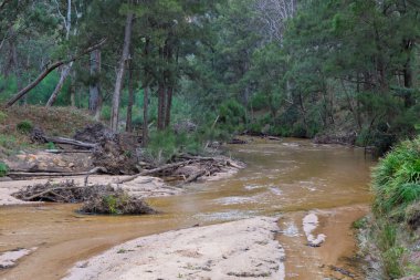 Avustralya 'nın NSW kentindeki Wollemi Ulusal Parkı' nda meydana gelen büyük sel felaketinin ardından Capertee Vadisi 'nde çok düşük seviyelerde Capertee Nehri' nin fotoğrafı..