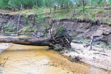 Avustralya 'nın NSW kentindeki Wollemi Ulusal Parkı' ndaki Capertee Vadisi 'ndeki Capertee Nehri boyunca meydana gelen şiddetli sel hasarının fotoğrafı..