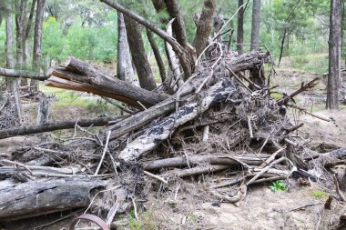 Avustralya 'nın NSW kentindeki Wollemi Ulusal Parkı' ndaki Capertee Vadisi 'ndeki Capertee Nehri boyunca meydana gelen şiddetli sel hasarının fotoğrafı..