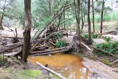 Avustralya 'nın NSW kentindeki Wollemi Ulusal Parkı' ndaki Capertee Vadisi 'ndeki Capertee Nehri boyunca meydana gelen şiddetli sel hasarının fotoğrafı..