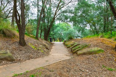 Avustralya, NSW 'nin Hawkesbury Bölgesi' ndeki Yarramundi Reserve 'nin ağaç ve parklarında gezinen bir çimento yürüyüş yolunun fotoğrafı..