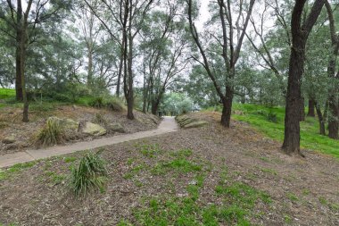 Avustralya, NSW 'nin Hawkesbury Bölgesi' ndeki Yarramundi Reserve 'nin ağaç ve parklarında gezinen bir çimento yürüyüş yolunun fotoğrafı..