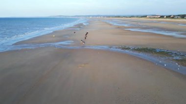 Normandiya sahillerinde bir grup at sırtında akşam gezintisi. Atları ve binicileri sahile doğru ilerliyor. 4K İHA atışı.