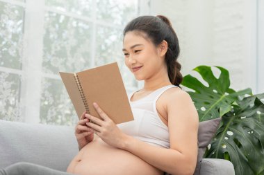 Mutlu Hamile Kadın kanepeye oturup bebeğe bakmaya hazırlanmak için kitap okuyor. Hamilelik, gelecekten zevk alan genç bir kadın. Evde rahatla, annelik ve hamilelik kavramı.