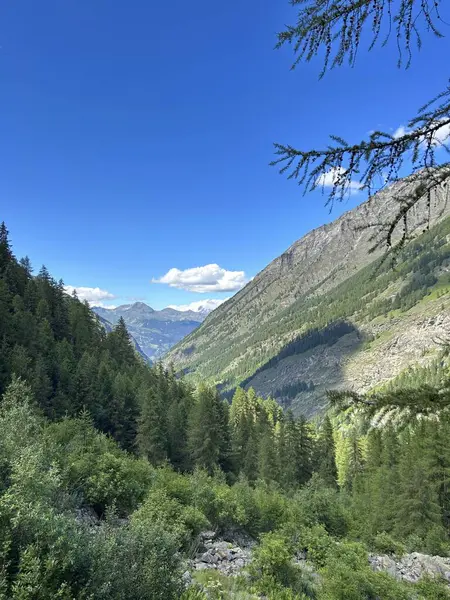 İtalya 'da güzel Alpler ve dağ yürüyüşü. 