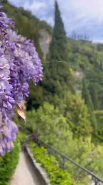 Como Gölü ve İtalya 'daki Alpler' in güzel manzaraları.. 