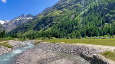 Alplerin güzel manzarası. Şelale ve orman manzarası