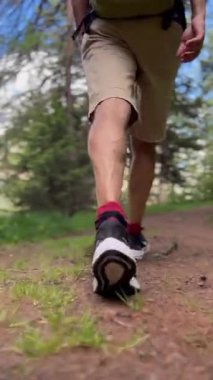 Bir adam Alplerde orman yolunda yürüyor.. 