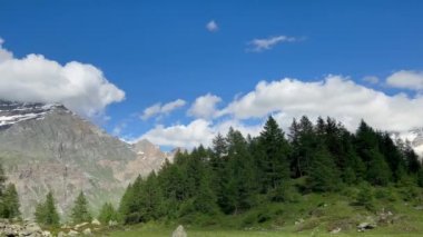 İtalya 'da Alpler' de güzel bir nehir manzarası. Şelale ve orman manzarası. Zaman Uygulaması