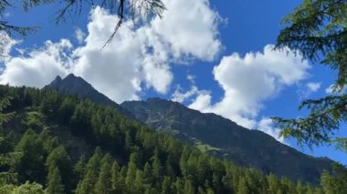 İtalya 'da Alpler' de güzel bir nehir manzarası. Şelale ve orman manzarası. Zaman Uygulaması