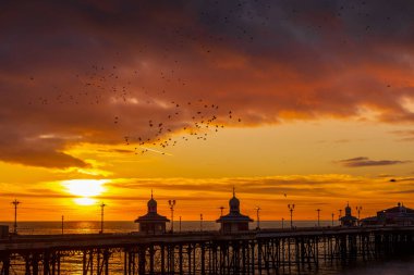 Blackpool Kuzey İskelesi Gün batımı Starling hırıltısı ısınıyor
