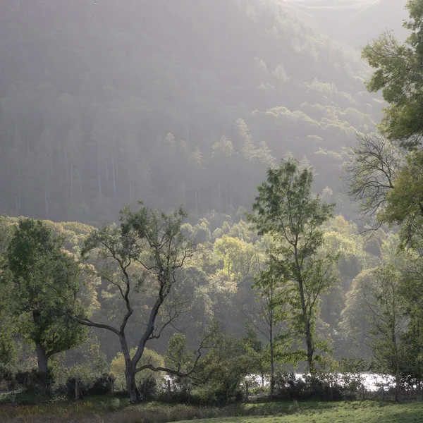 Lake District Mattina Presto Con Prima Luce Che Colpisce Gli — Foto Stock