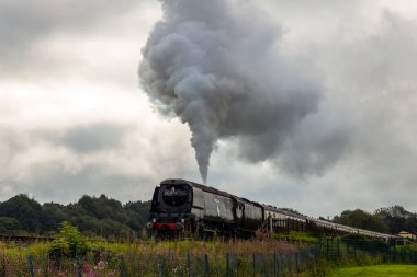 Buharlı tren vagonlarla hareket halinde.